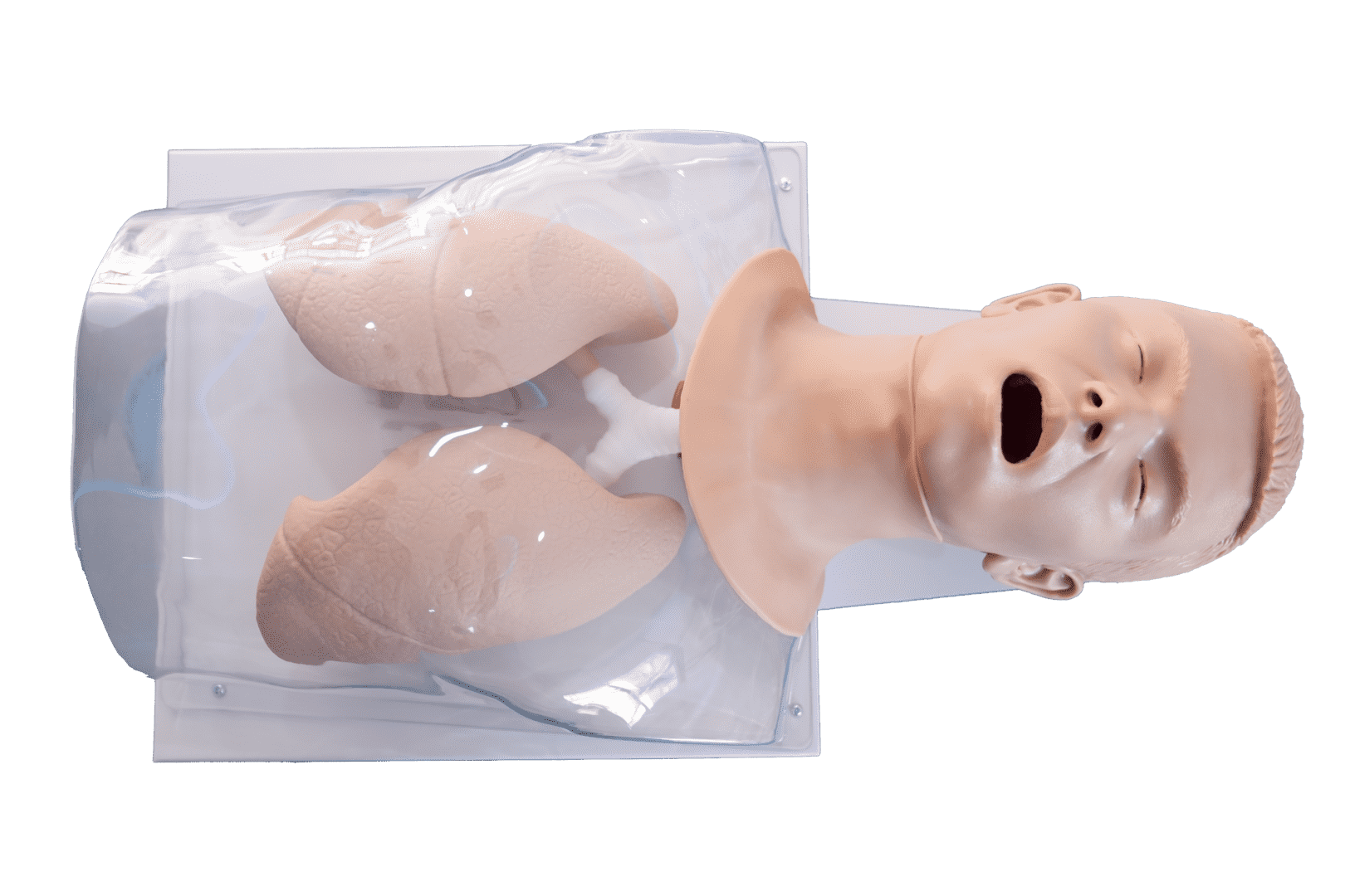 Comprehensive Airway Management Model